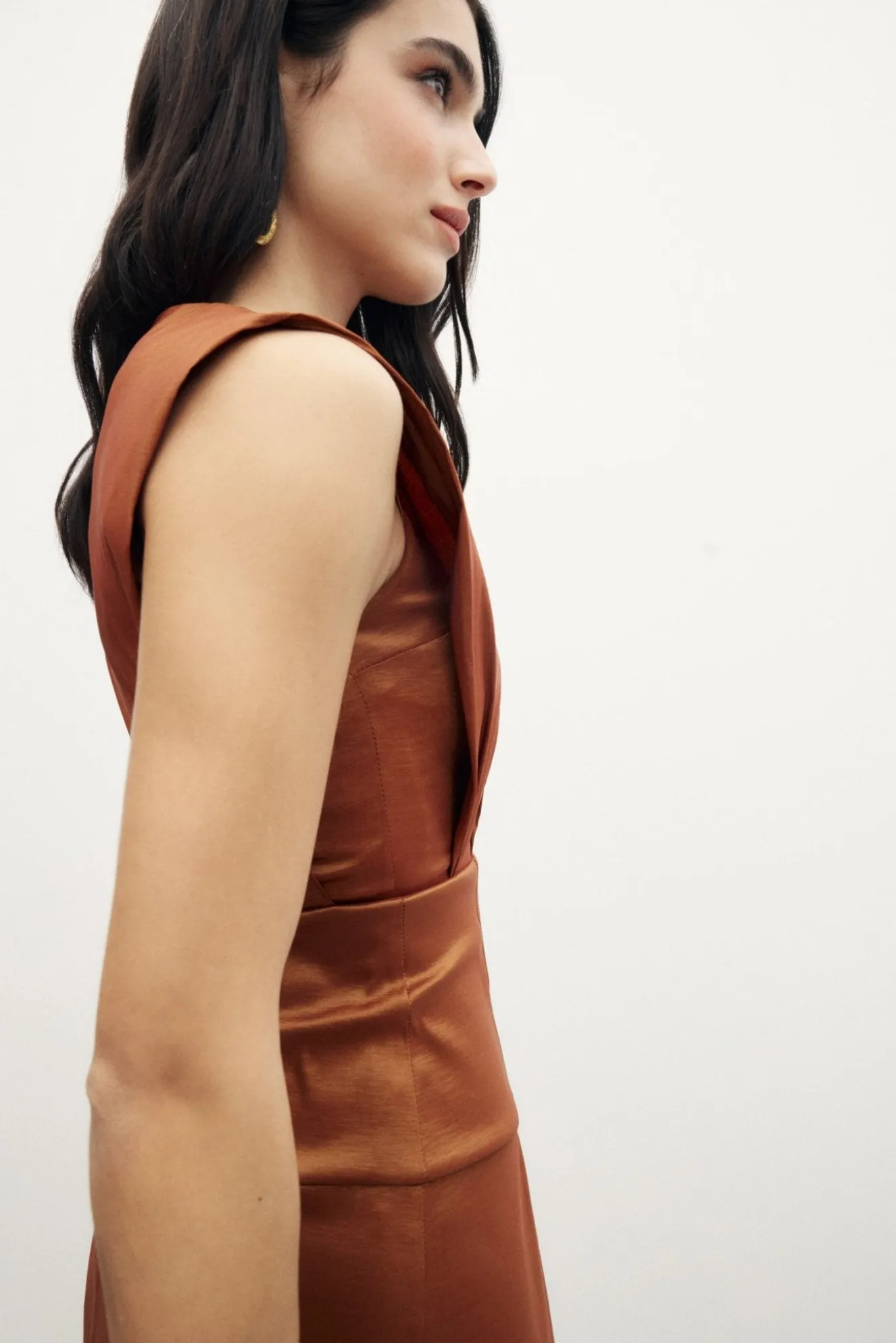 COPPOLA Bronze Dress