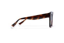 PIA Sunglasses Havana