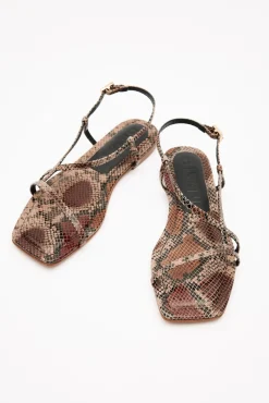 VICTORIA Brown Sandal